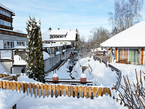 winter_3.jpg 